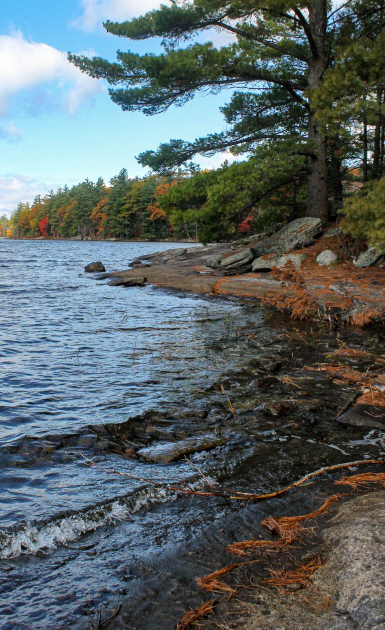 A calm lakeshore with clear water washing over smooth rocks, bordered by tall pine trees and autumn-colored foliage. The sky is partly cloudy with patches of blue, creating a peaceful, scenic fall landscape.